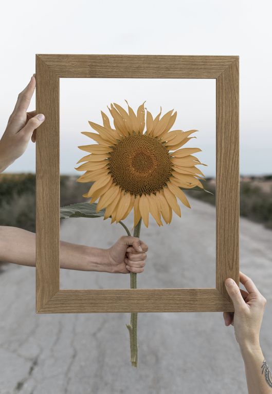 Illustration : Copyright Freepik