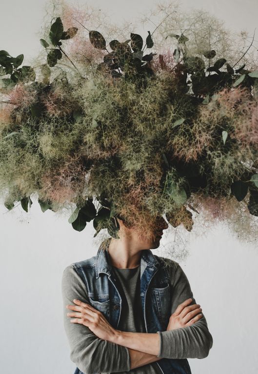 Illustration : Copyright Freepik